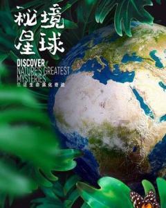 潜水都有哪几种?