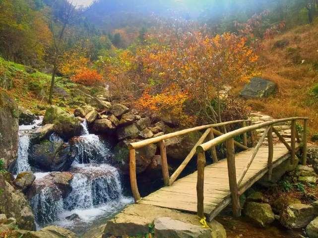 小兔子大冒险